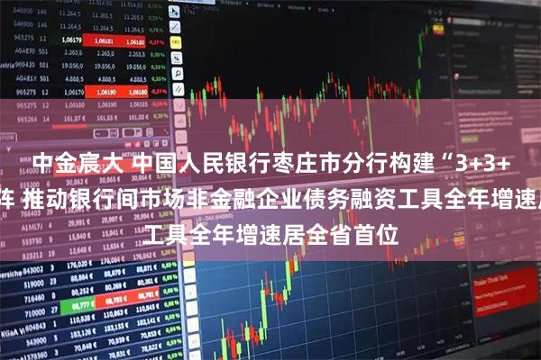 中金宸大 中国人民银行枣庄市分行构建“3+3+3”工作矩阵 推动银行间市场非金融企业债务融资工具全年增速居全省首位